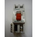 Crabtree SB6000 100a Double Pole Main Switch